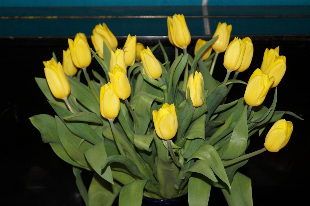 11. DSC03990