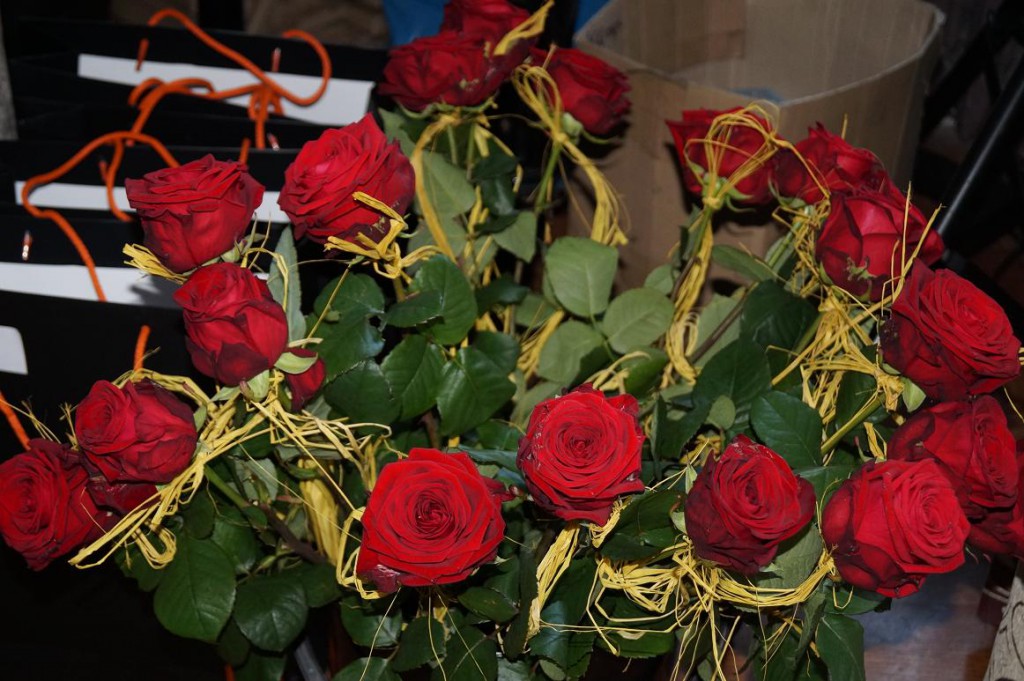 13. DSC04010